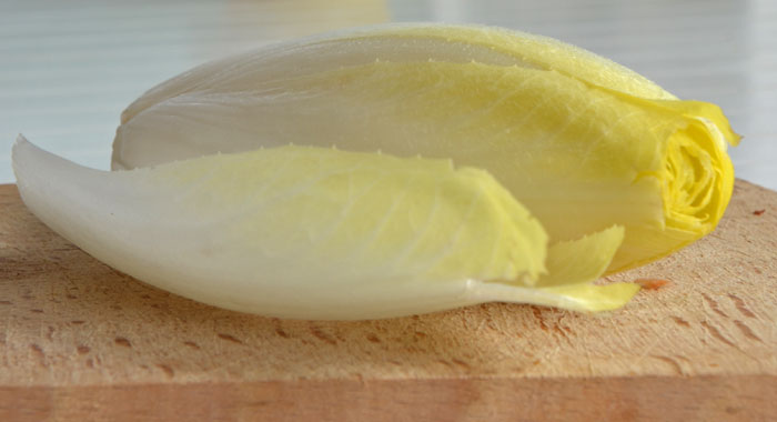 endive_0005