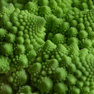 chou-romanesco-3_0090