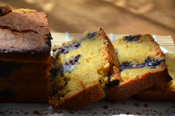 Cake-farine-de-pois-chiches-rapadura-huile-d'olive-myrtilles-cranberries_0049