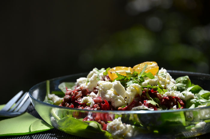 Salade-de-pousses-d'épinard-lentilles-betterave-huile-de-pistache-à-la-féta_0069