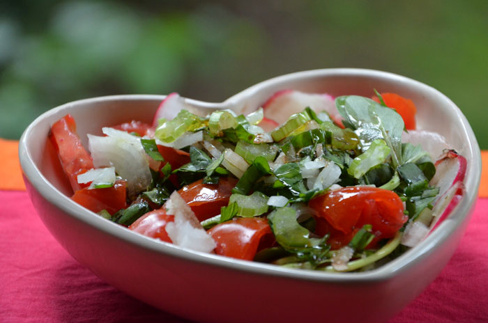 Salade-radis-roges,-tomate,-porpier-a-basilic-3_0021