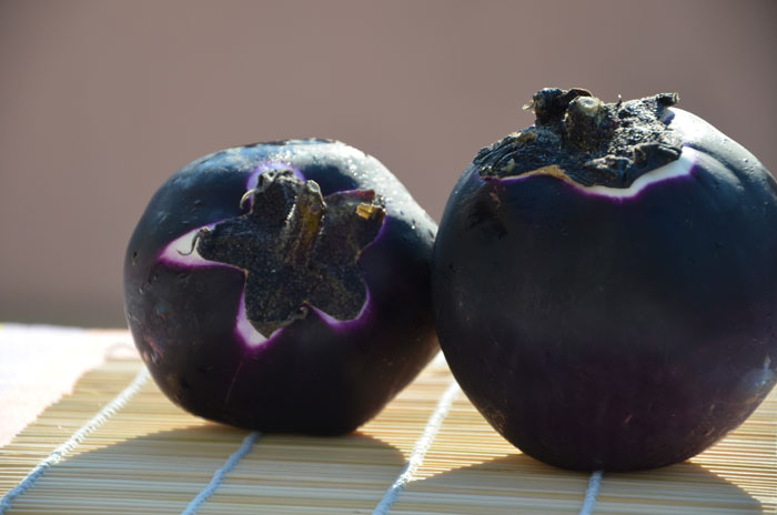 Aubergine-américaine_0035