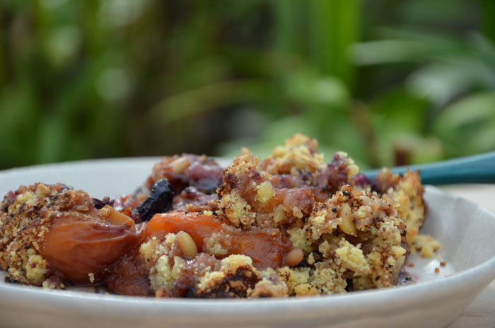 Crumble-abricots-myrtilles-au-sucre-de-fleur-de-coco-et-farine-pois-chiches_0208