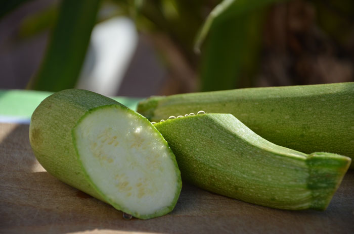 Courgette-méditerranéenne_0132