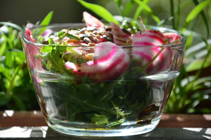 Salade-de-roquette-cresson-de-terre-et-betterave-chioggia_0119