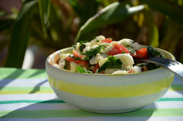 Salade-fenouil-feta-persil-désde-tomate_0027