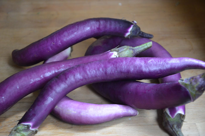 Aubergines-italiennes-2-(big)_0122