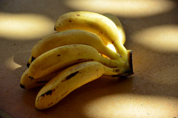 Bananes-figues_0027