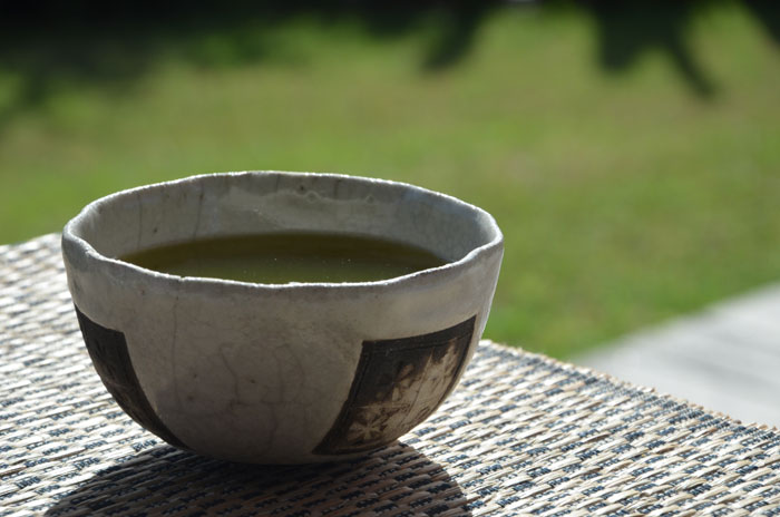 Bouillon-aromatique-aux-herbes-et-céleri-branche_0039