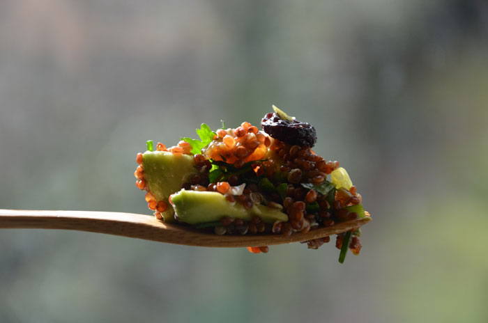 Salade-quinoa-rouge,-avocat-herbes---bouchée_0206