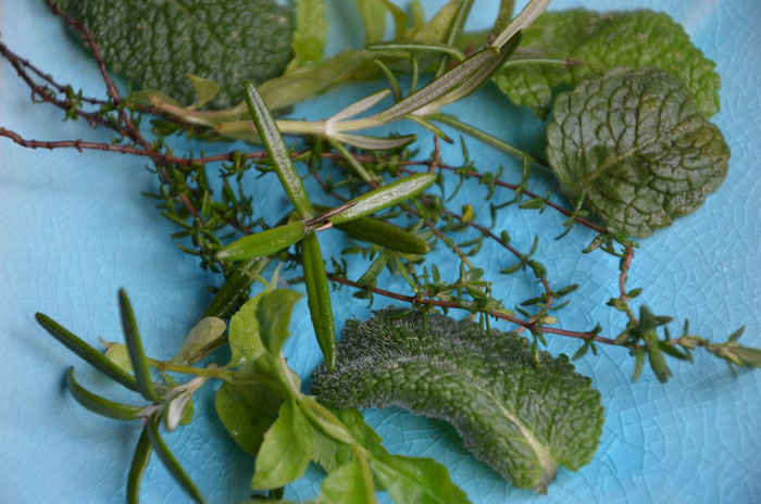 Herbes-aromatiques-du-balcon_0080