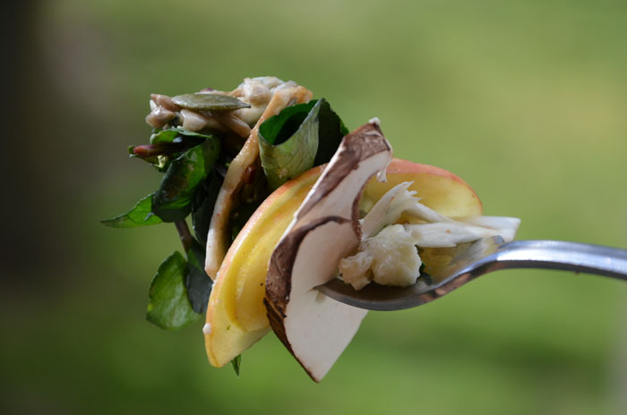 Salade-de-cresson,,-champignons-roses-roquefort-et-graines---bouchée-2_0218