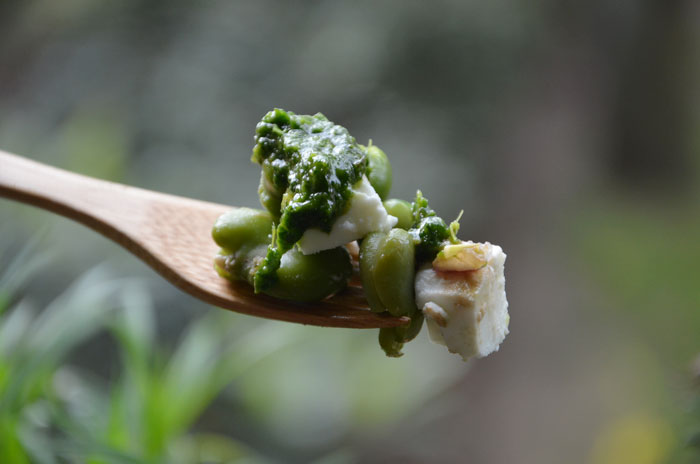 Salade-de-fèves-fraiches,-petits-pois,-feta-et-purée-de-coriandre-bouchée_0141