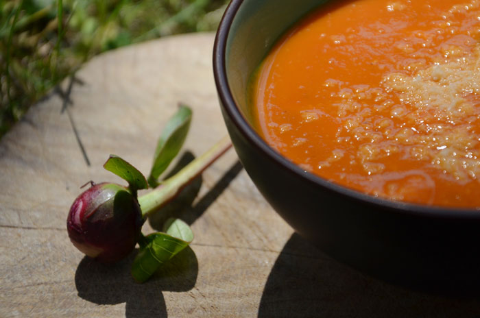 Velouté-de-tomates-cerises-à-l'origan,-chèvre-frais-et-pécoino-râpé_0099