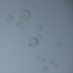 Bulles-4_0031