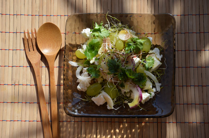 Salade-feta,-oignon-et-raisin-blanc-à-la-coriandre-fraiche_0299